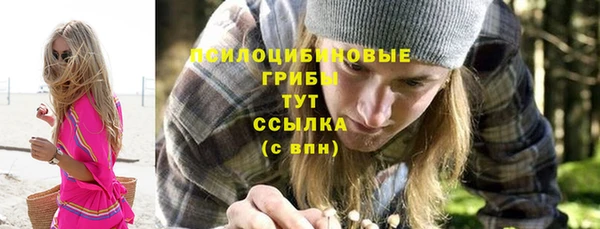 Альфа ПВП Алексин