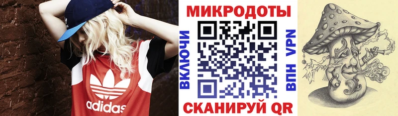 наркота  Алзамай  Галлюциногенные грибы мухоморы 